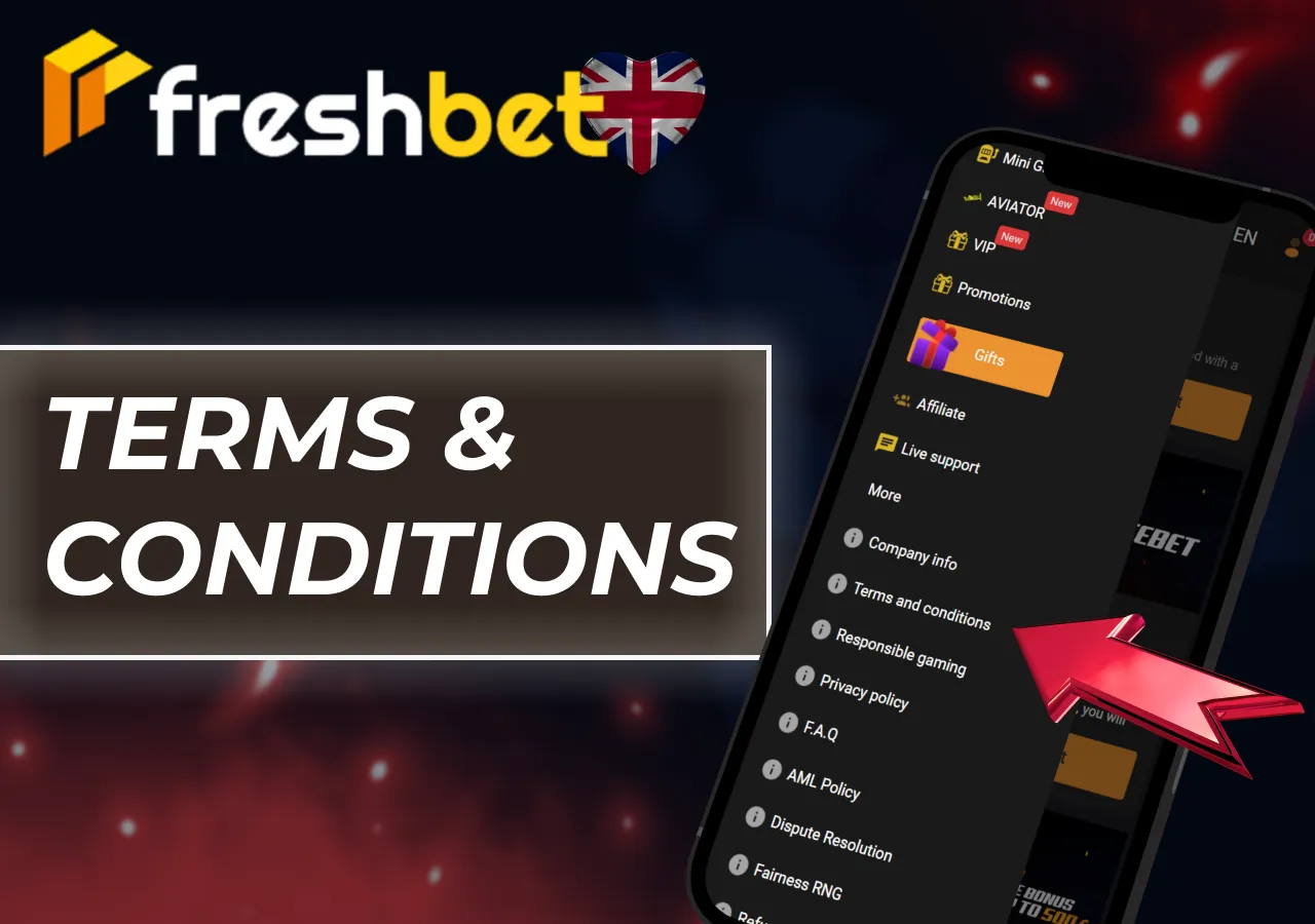 Main FreshBet bonus terms and wagering requirements explained clearly.